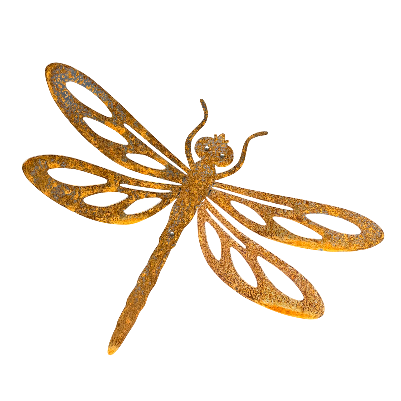 Grote cortenstalen libelle voor aan de wand, Tuinvorm DRAGONFLY van Stalen Design