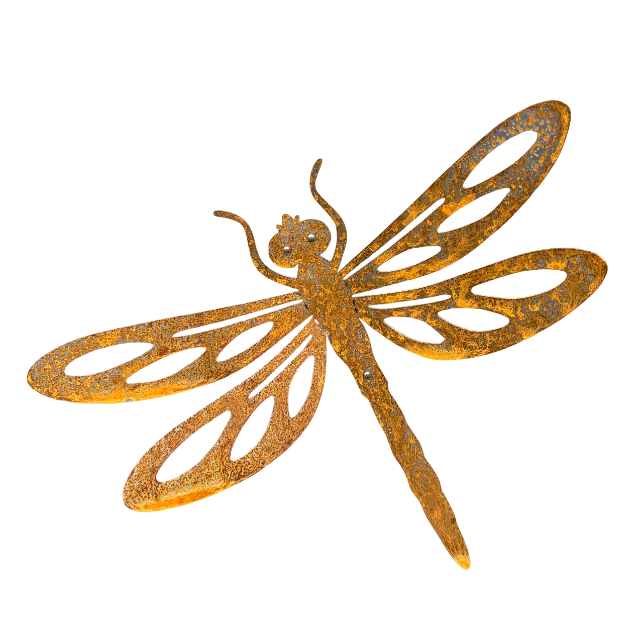 Grote cortenstalen libelle voor aan de wand, Tuinvorm DRAGONFLY van Stalen Design