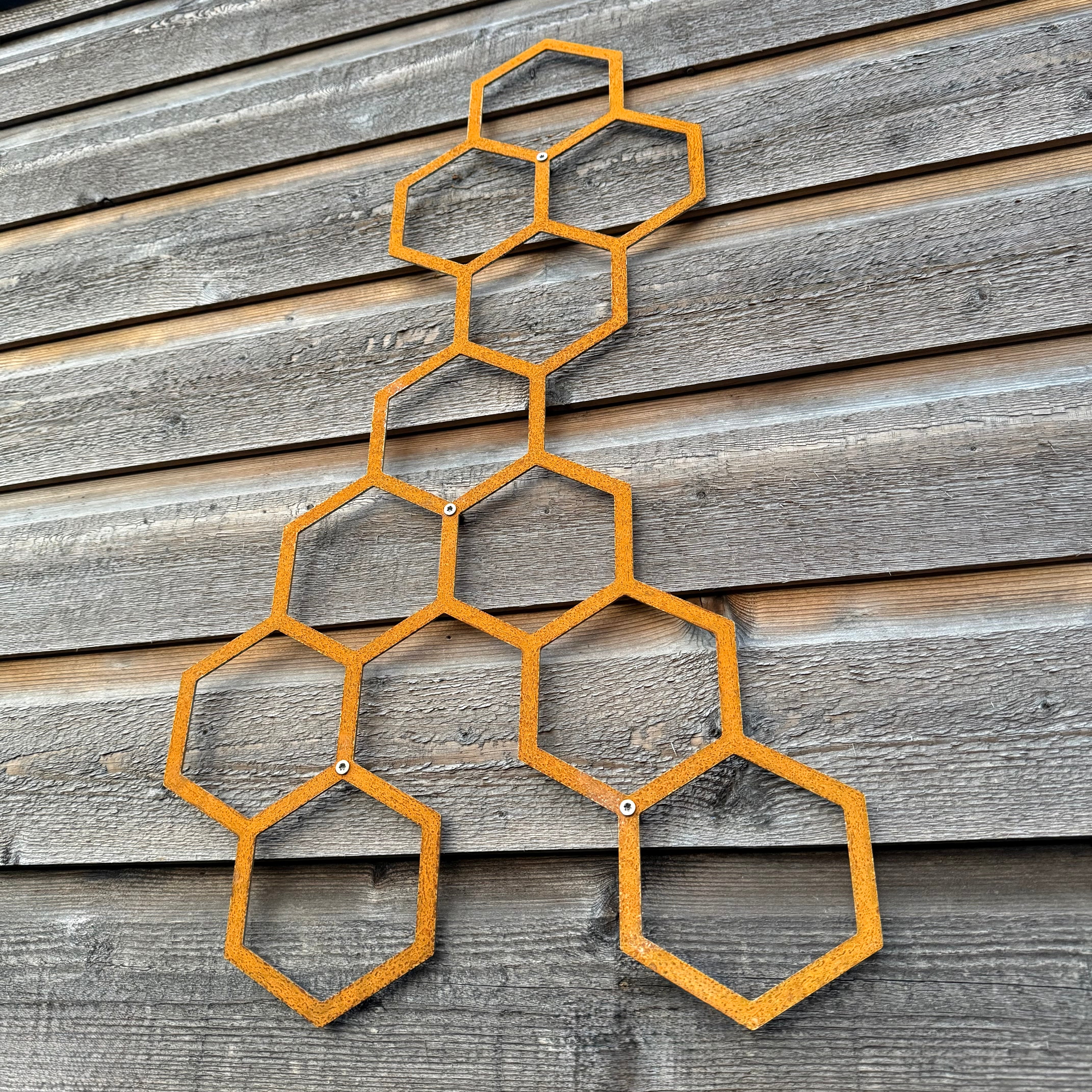 Wanddecoratie HIVE