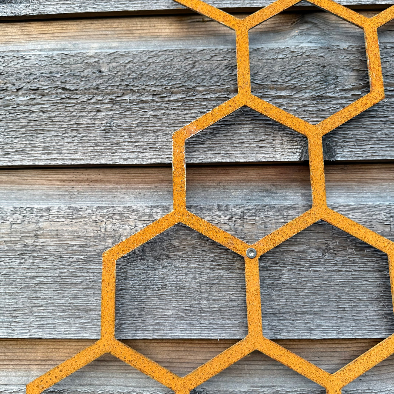 Klimplantrek HIVE van cortenstaal met hexagon motief voor klimplanten aan de buitenmuur