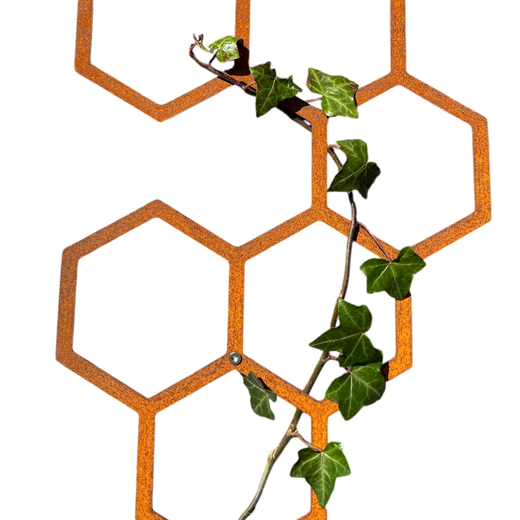Wanddecoratie HEXA als design klimrek voor de tuin – duurzame roestlook