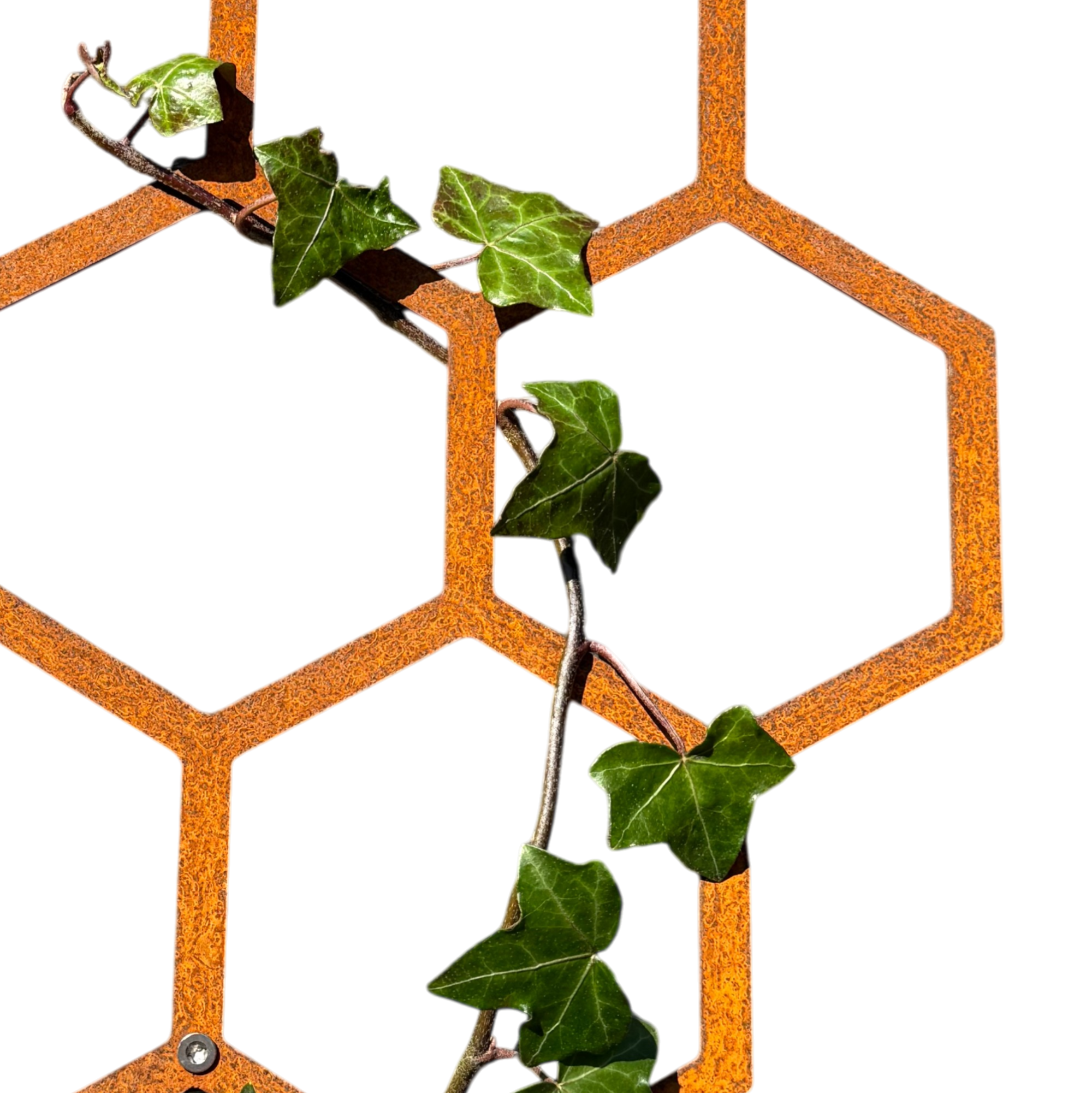 Wanddecoratie HEXA als design klimrek voor de tuin – duurzame roestlook