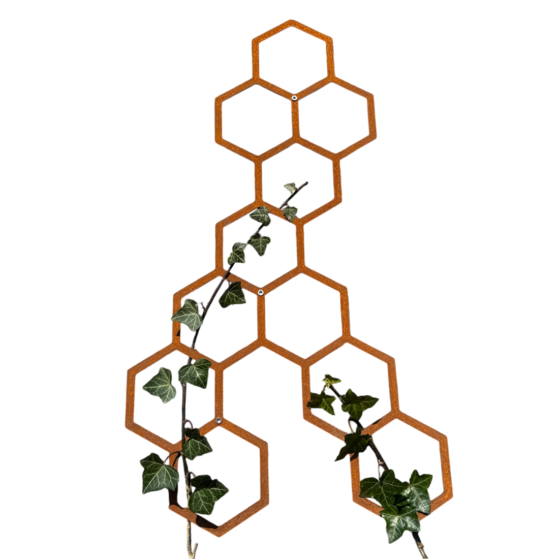 Wanddecoratie HIVE van cortenstaal met 11 hexagons – voor buiten