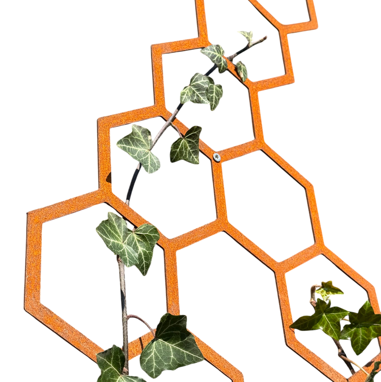 Wanddecoratie HIVE van cortenstaal met 11 hexagons – voor buiten