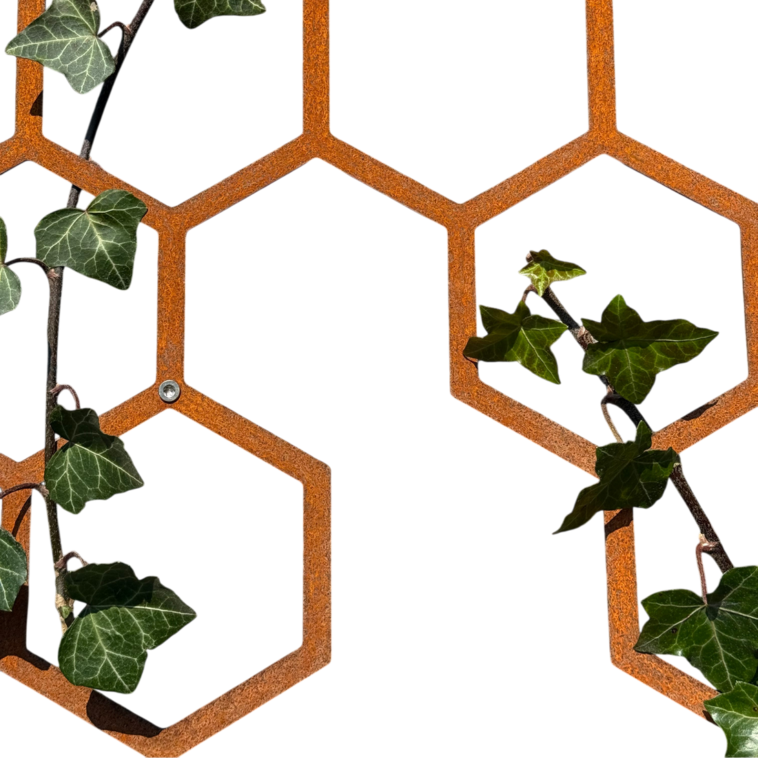 Klimplantrek HIVE van cortenstaal met hexagon motief voor klimplanten aan de buitenmuur