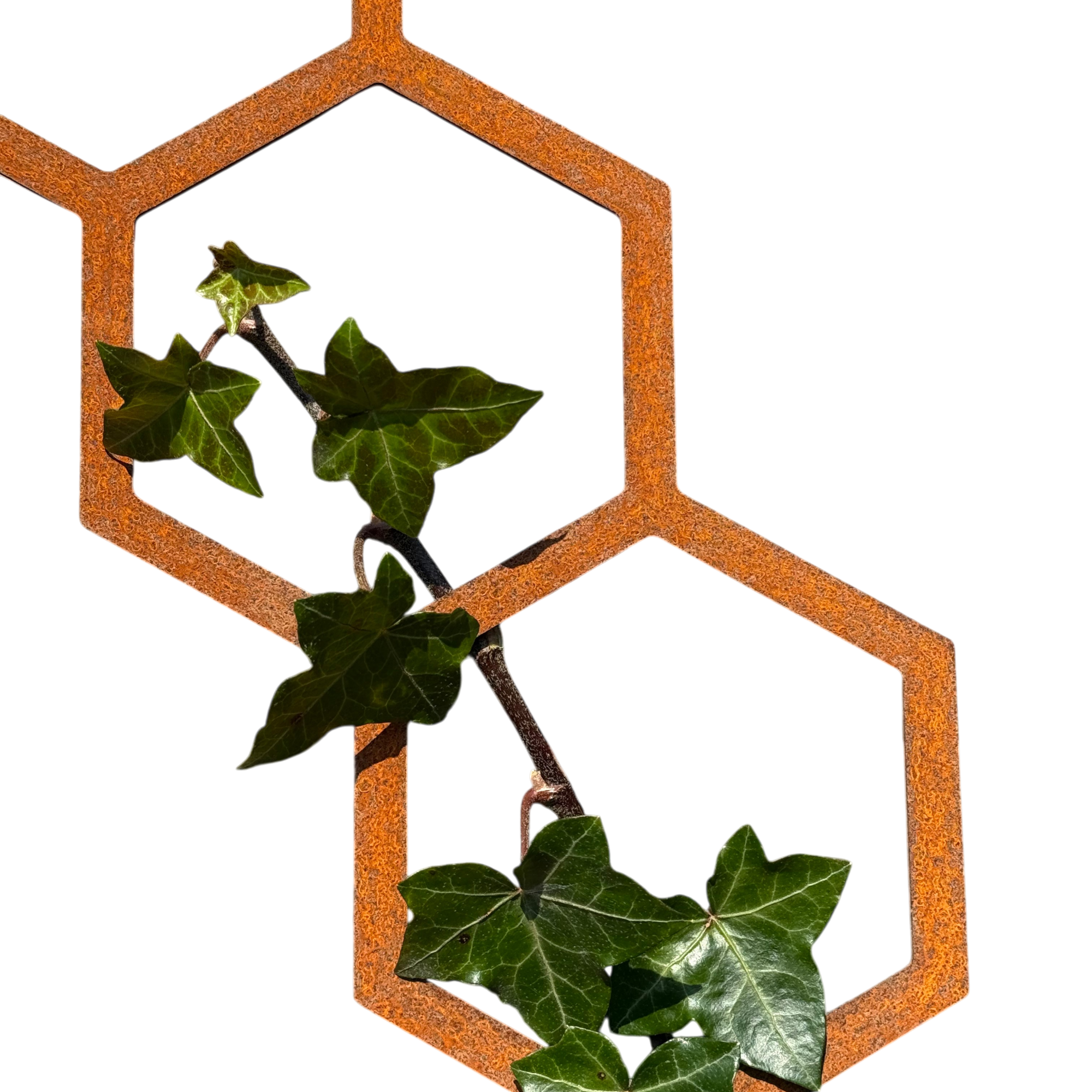 Wanddecoratie HIVE van cortenstaal met 11 hexagons – voor buiten