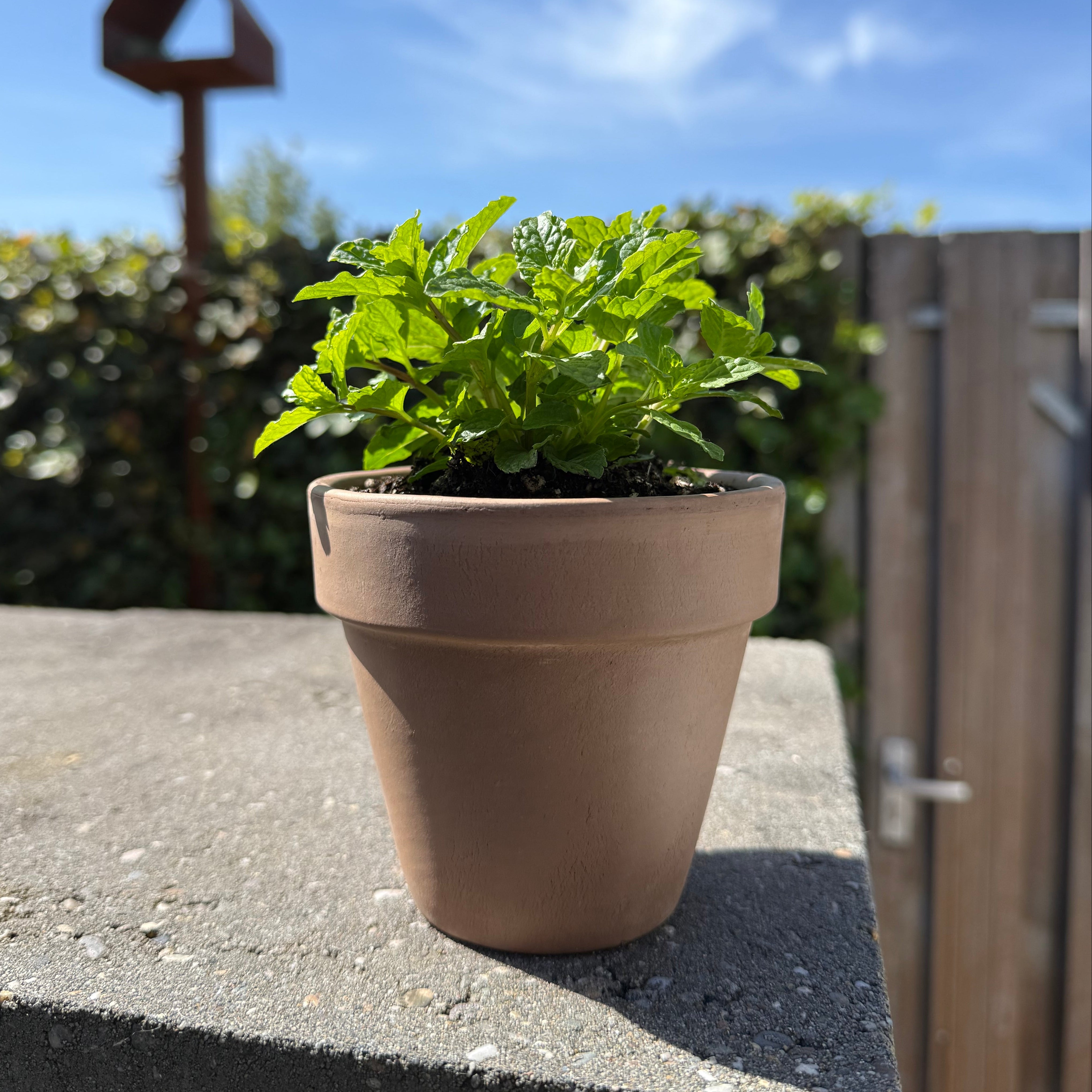 Bloempot OUTSIDE