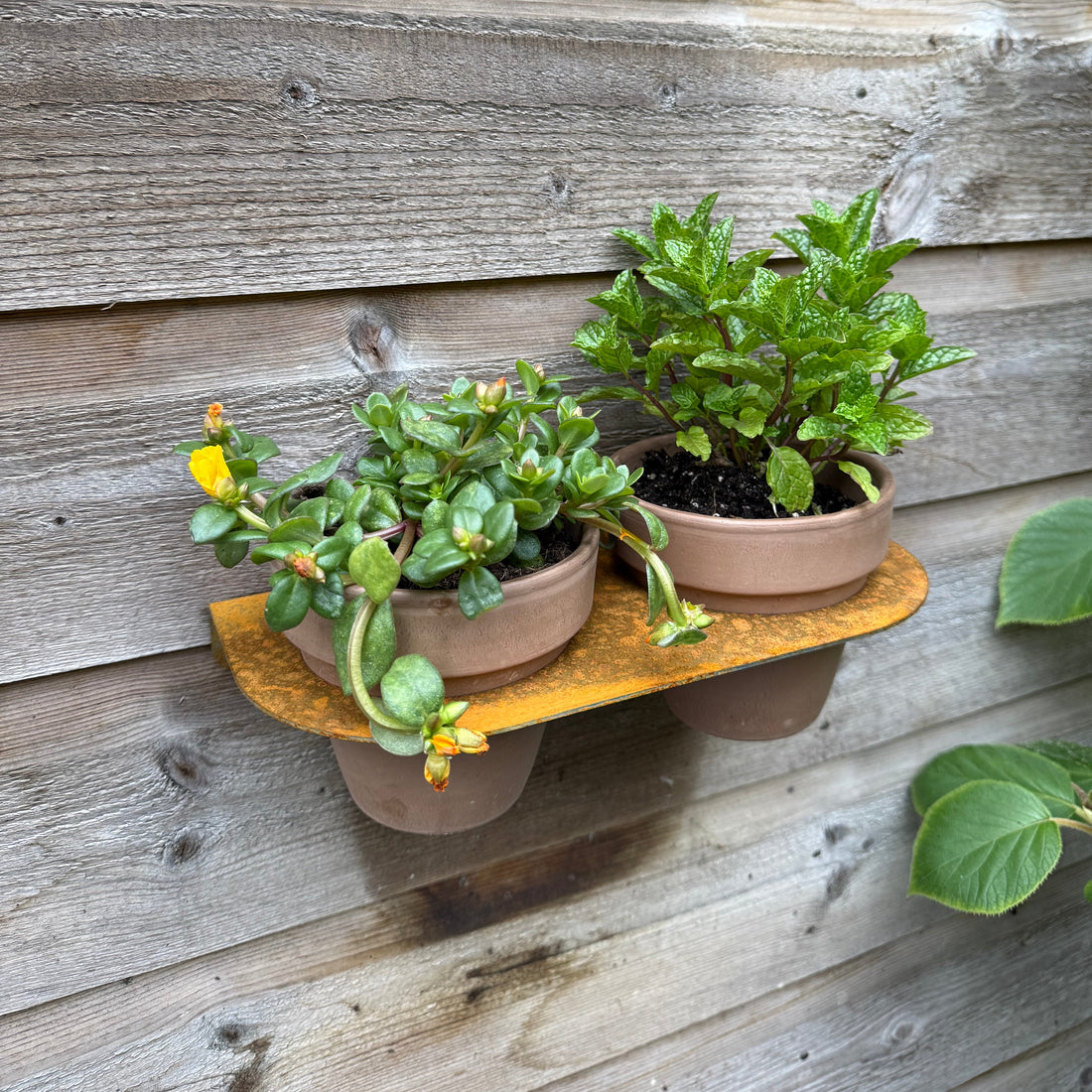 Bloempot DUO