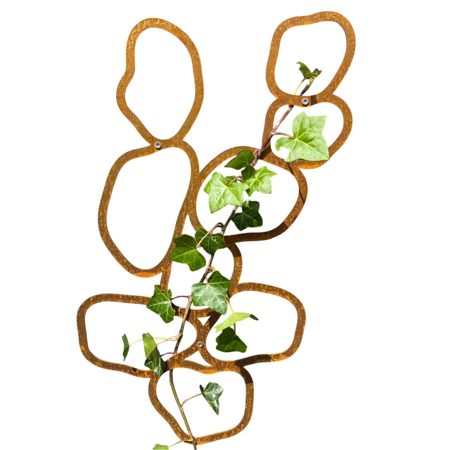Klimplantrek STONE