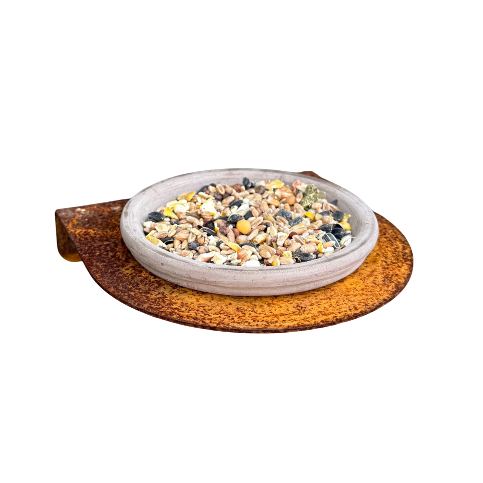 Vogelvoederschaal OASIS – wandmodel met terracotta drinkbakje
