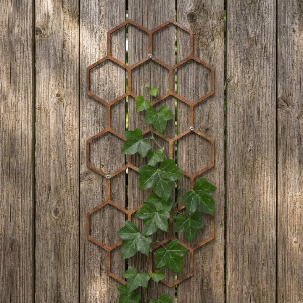 Klimplantrek HEXON van cortenstaal met modern hexagonmotief