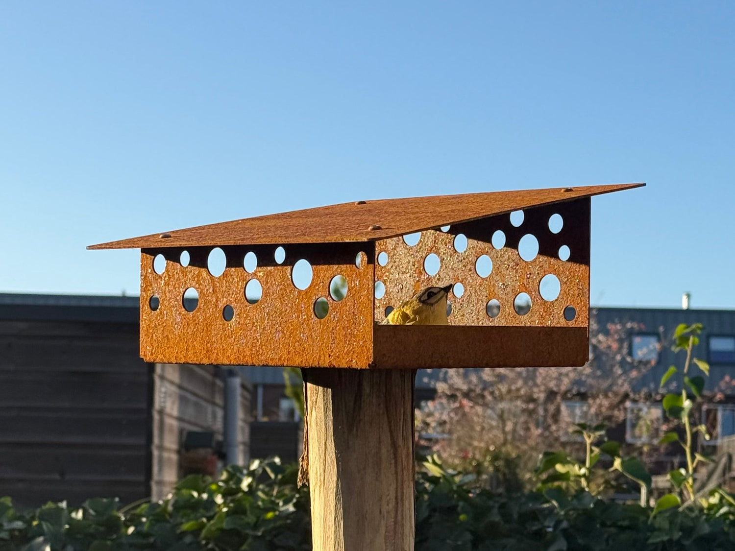 StalenDesign breidt uit: verzending naar België mogelijk