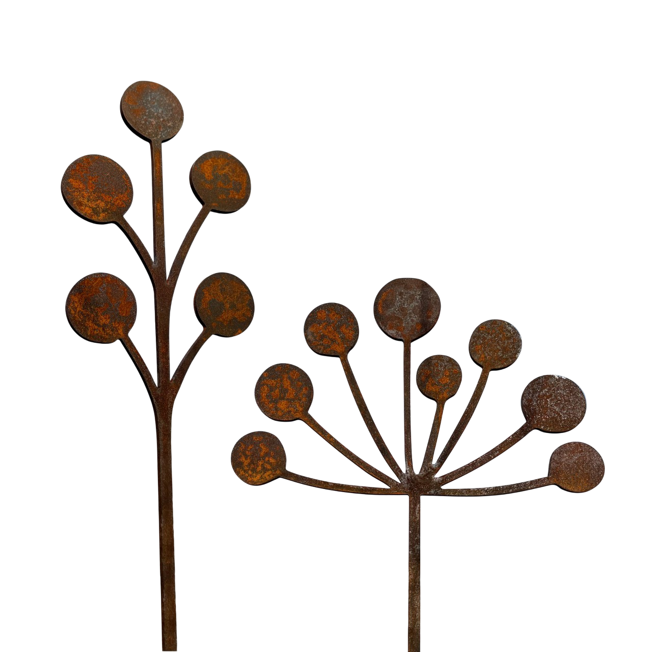Tuinsteker ALLIUMS van Stalen Design, cortenstalen sierui tuinvormen als decoratie voor border of tuin.