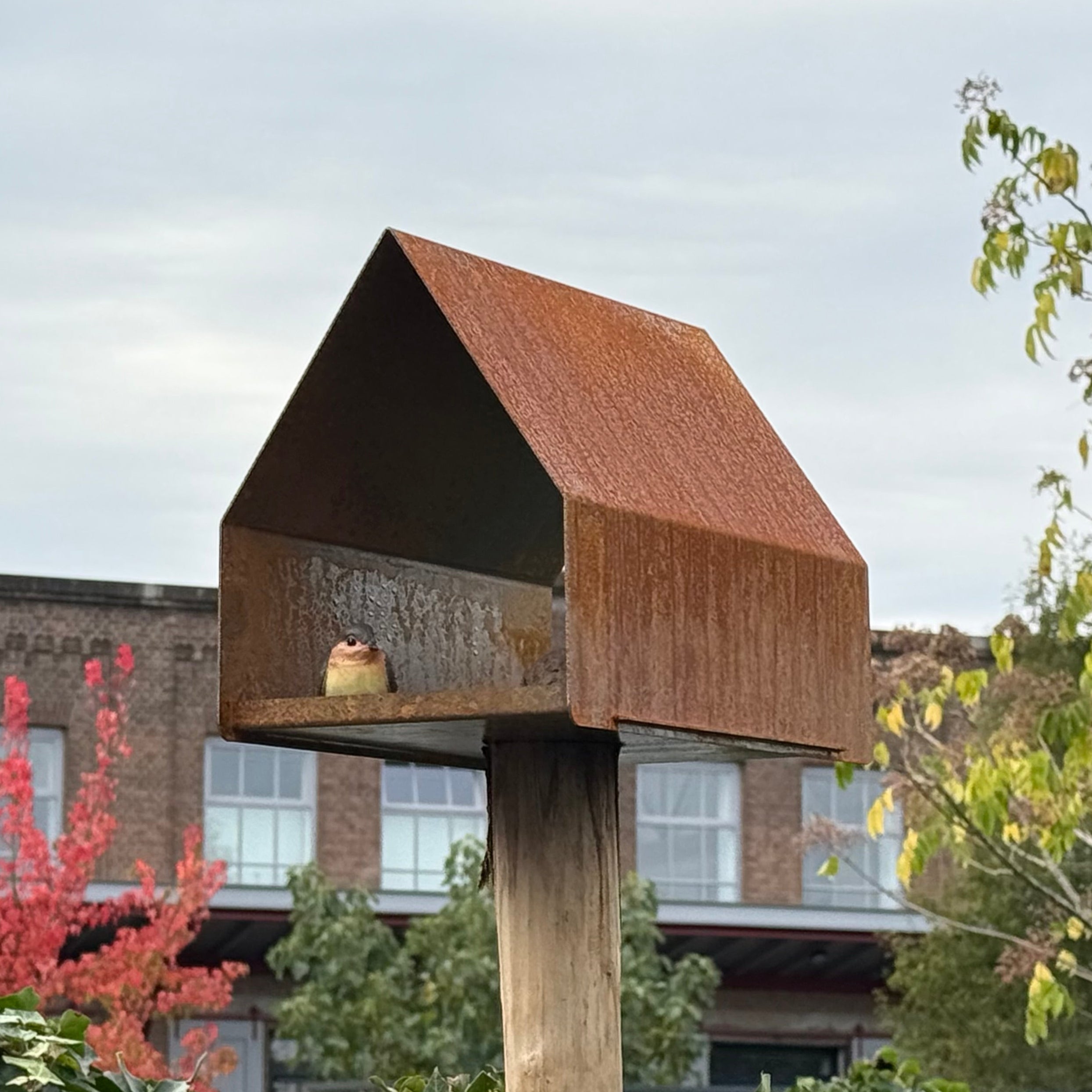 Vogelvoederhuis LUMOS