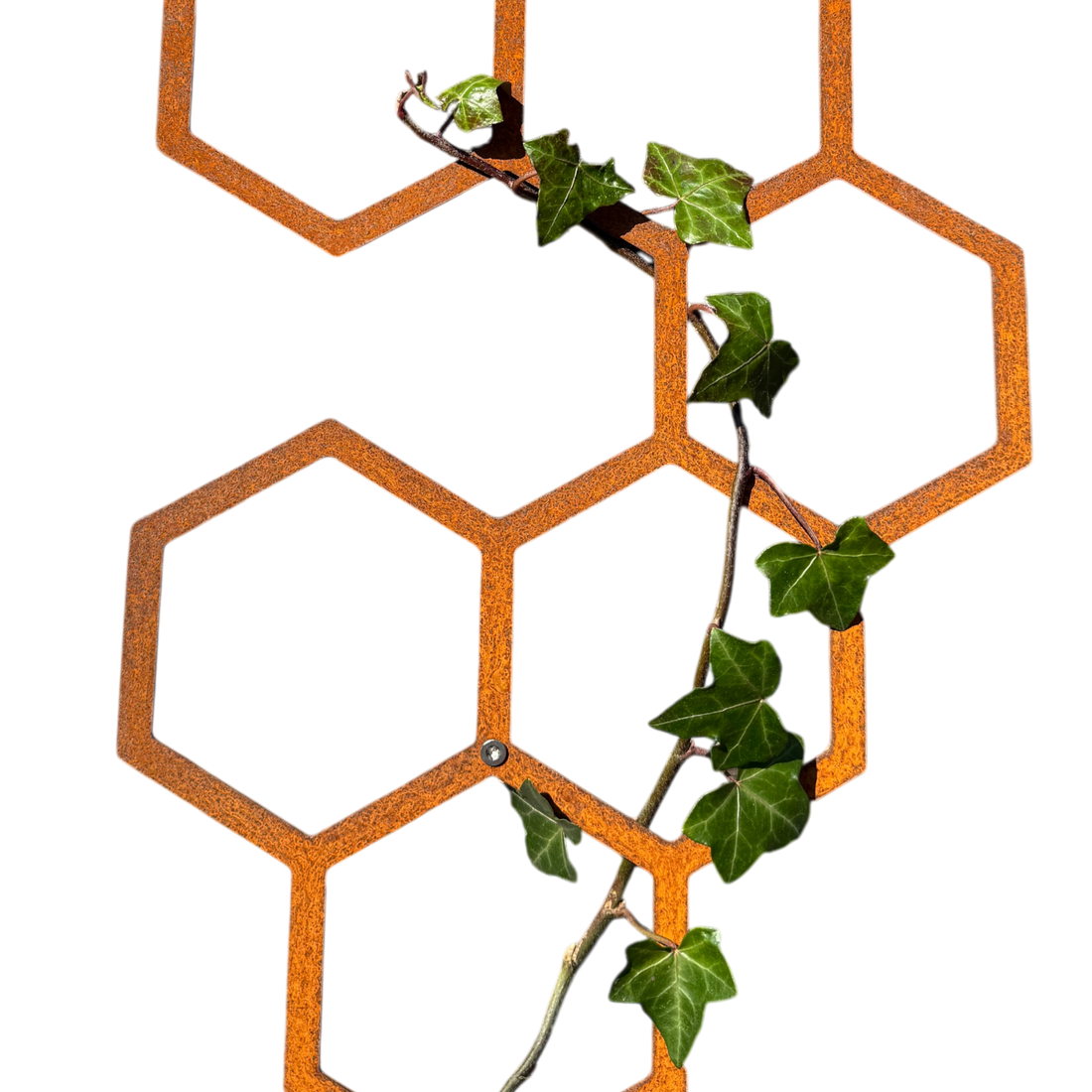 Klimplantrek HEXA van cortenstaal met hexagon motief voor klimplanten aan de buitenmuur