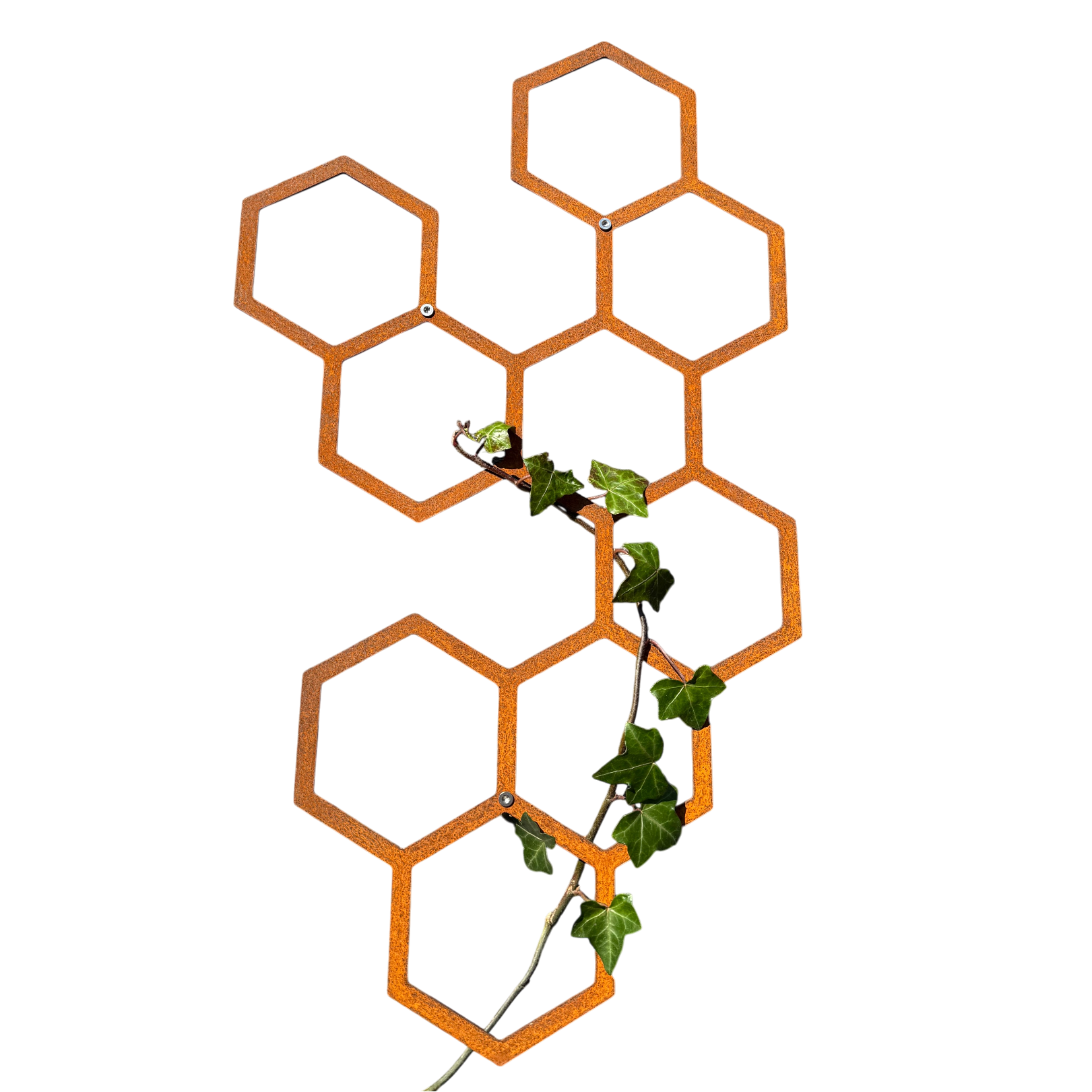 Wanddecoratie HEXA als design klimrek voor de tuin – duurzame roestlook