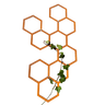 Klimplantrek HEXA
