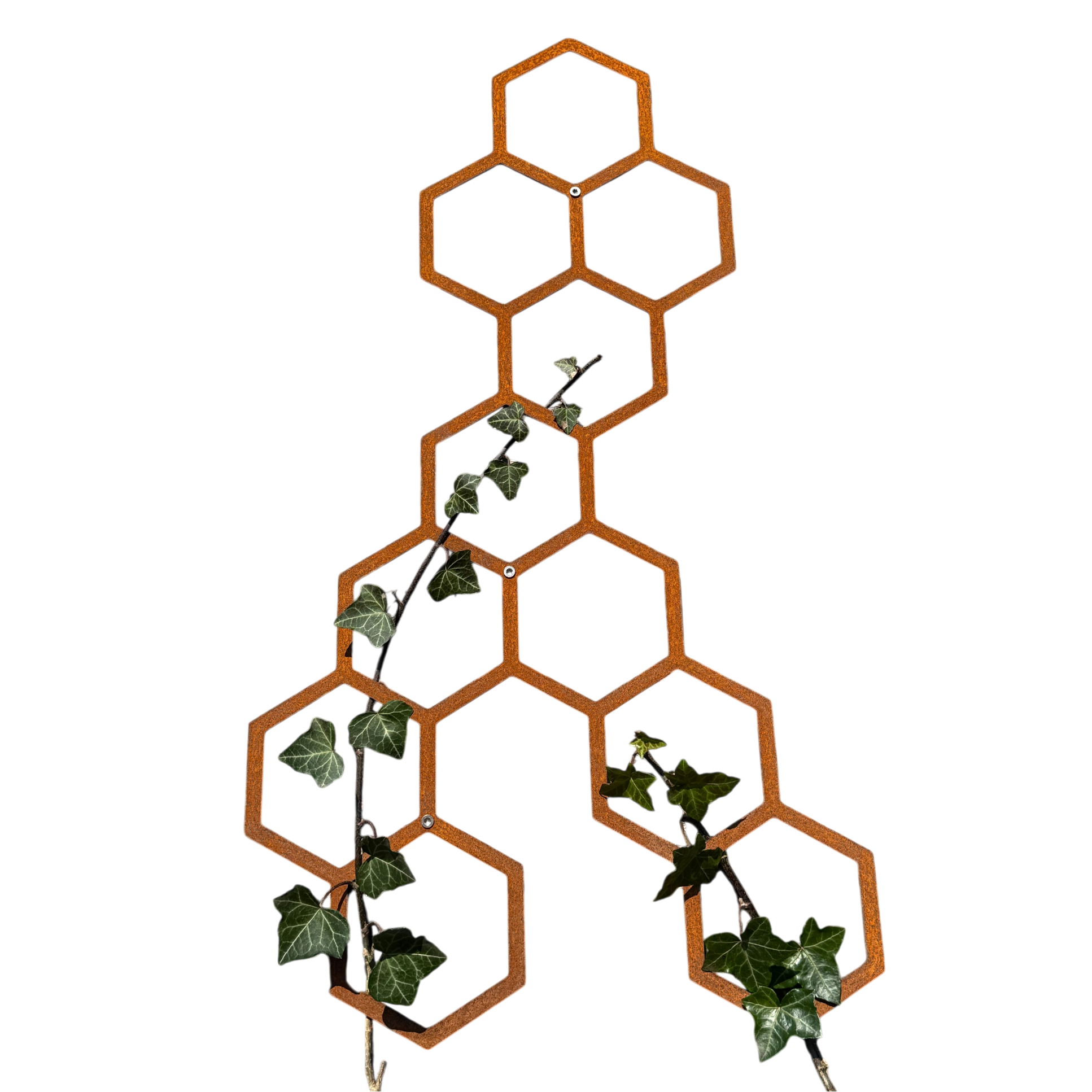 Wanddecoratie HIVE van cortenstaal met 11 hexagons – voor buiten