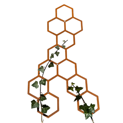 Klimplantrek HIVE van cortenstaal met hexagon motief voor klimplanten aan de buitenmuur