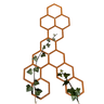 Klimplantrek HIVE