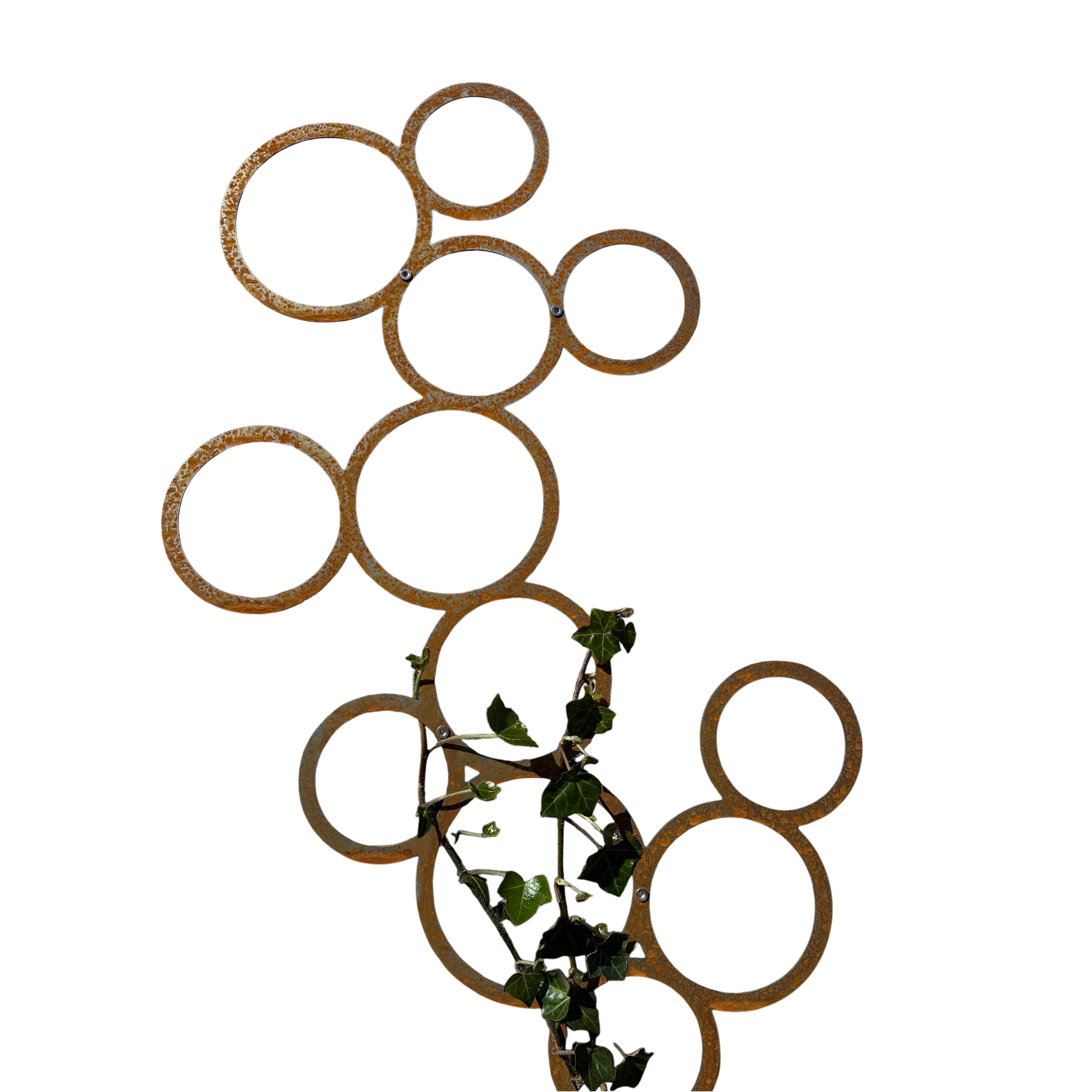 Wanddecoratie RING van cortenstaal met 12 ronde openingen – voor buitengebruik