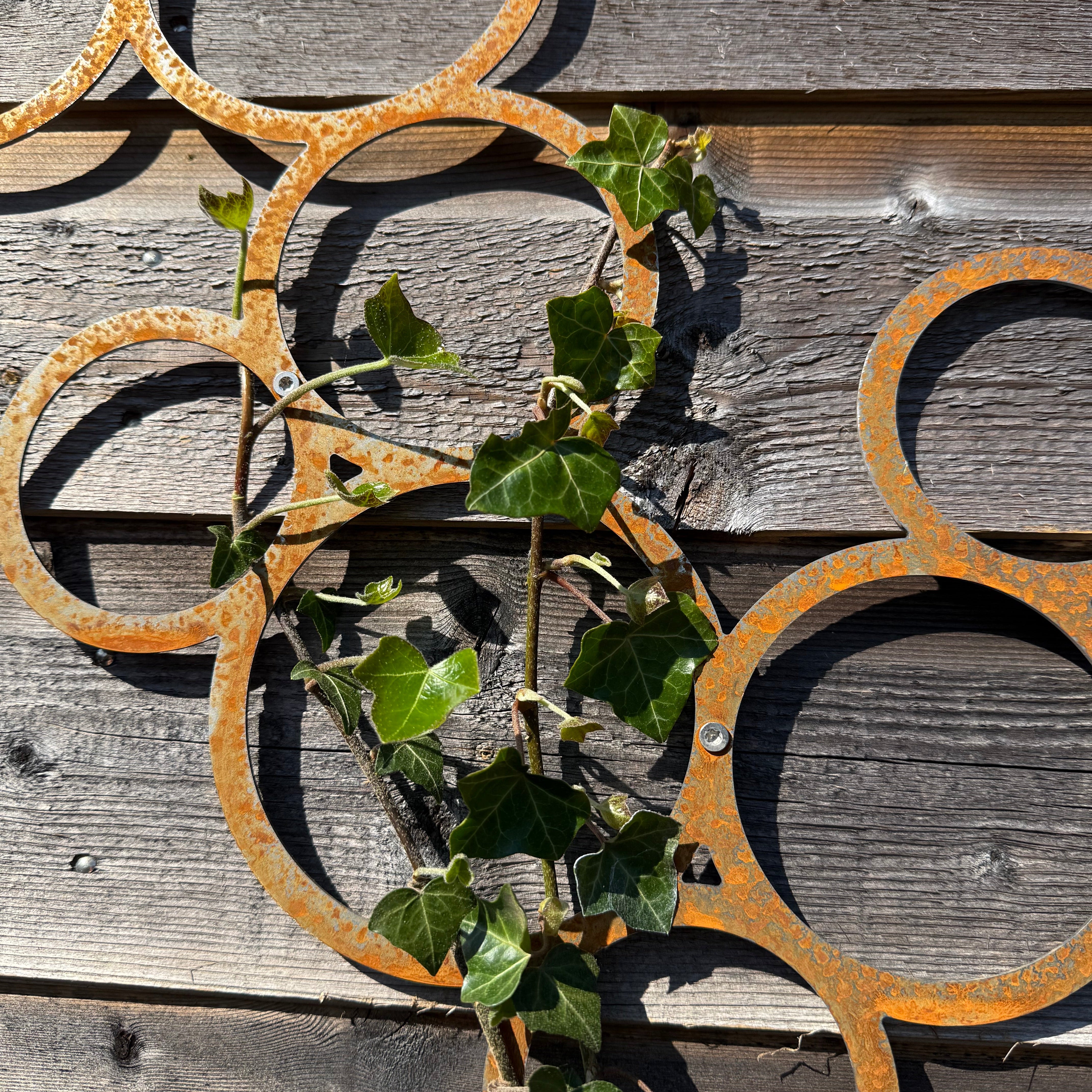 Klimplantrek RING van cortenstaal met rondjes motief voor klimplanten aan de buitenmuur