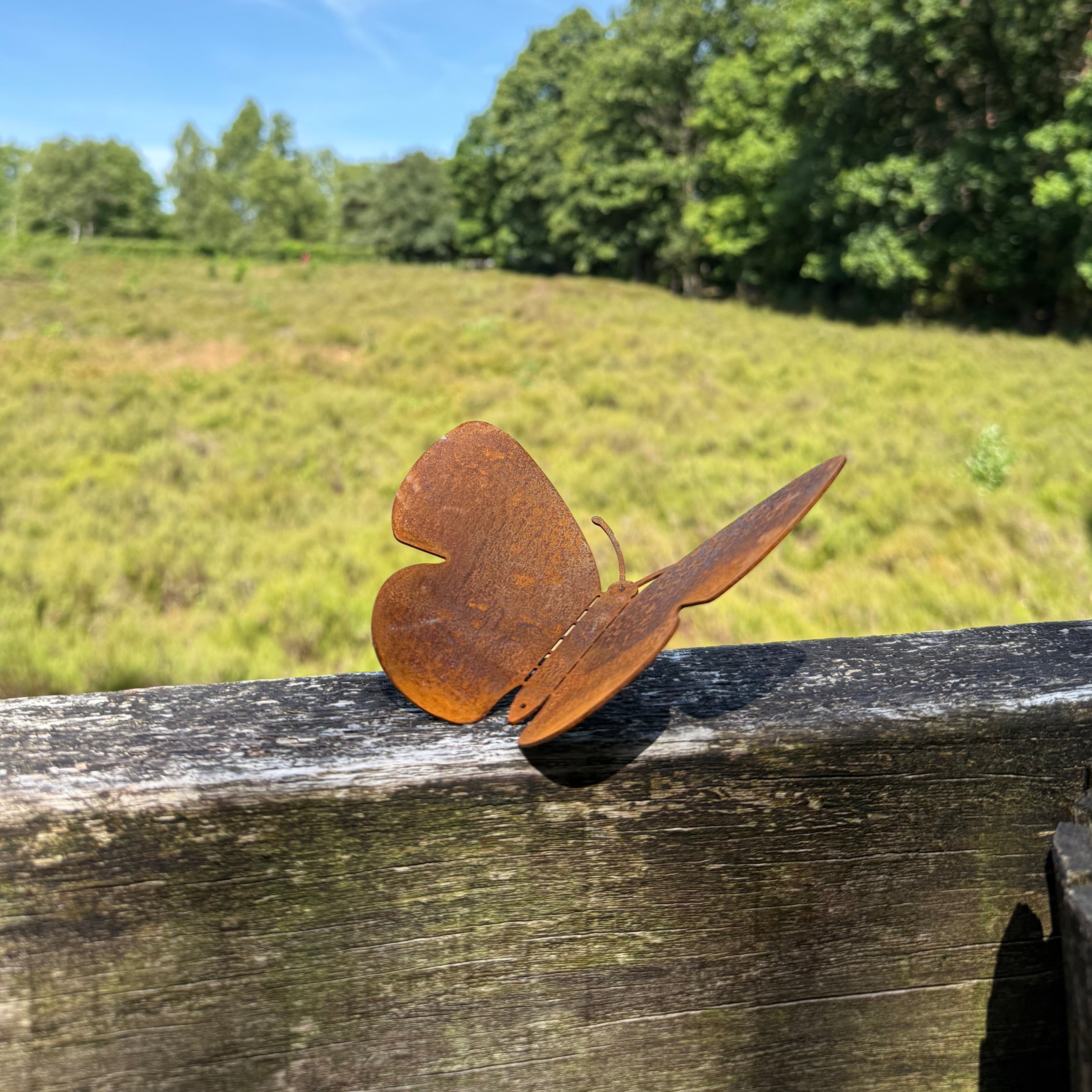 Tuinvorm BUTTERFLIES