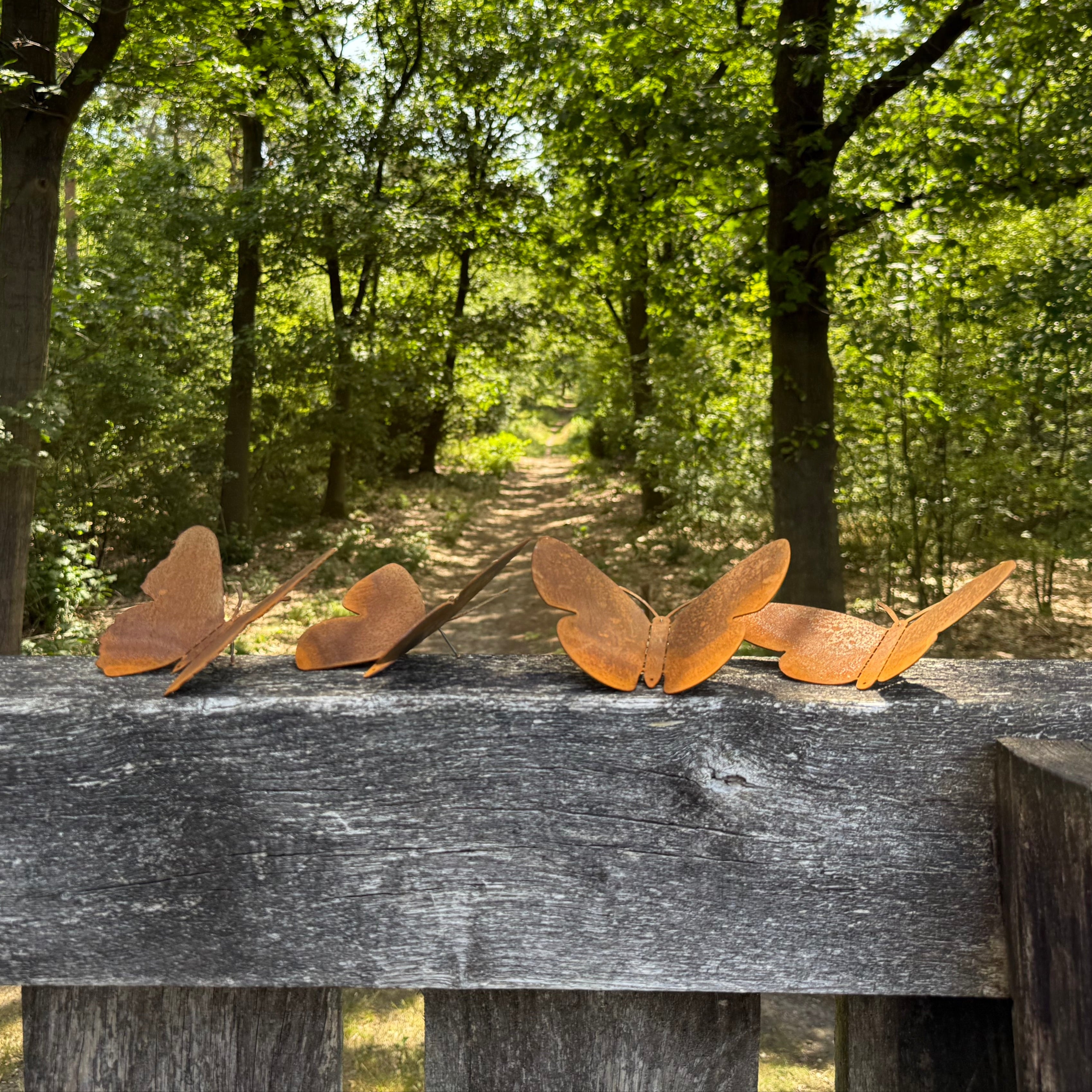 BUNDEL | Tuinvorm BUTTERFLIES + Vogelhuis NEBULA