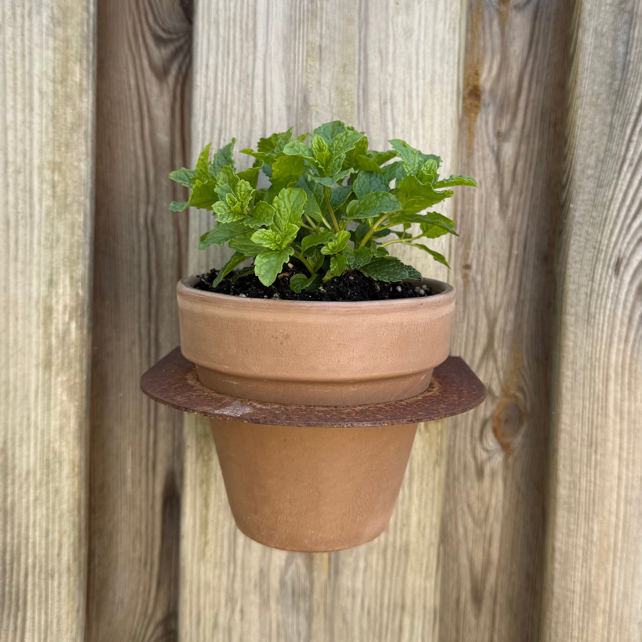 Bloempot MURO
