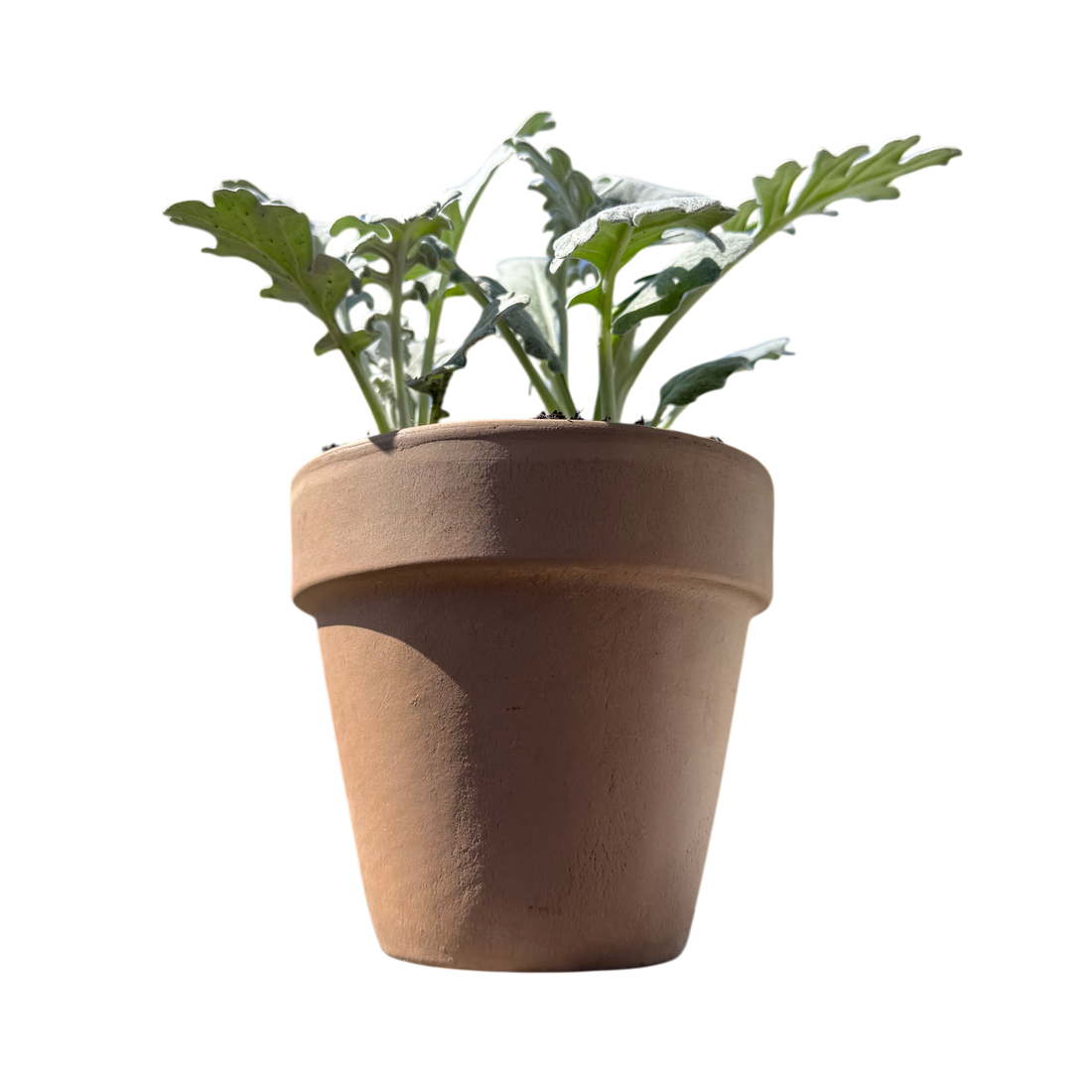 Bloempot OUTSIDE