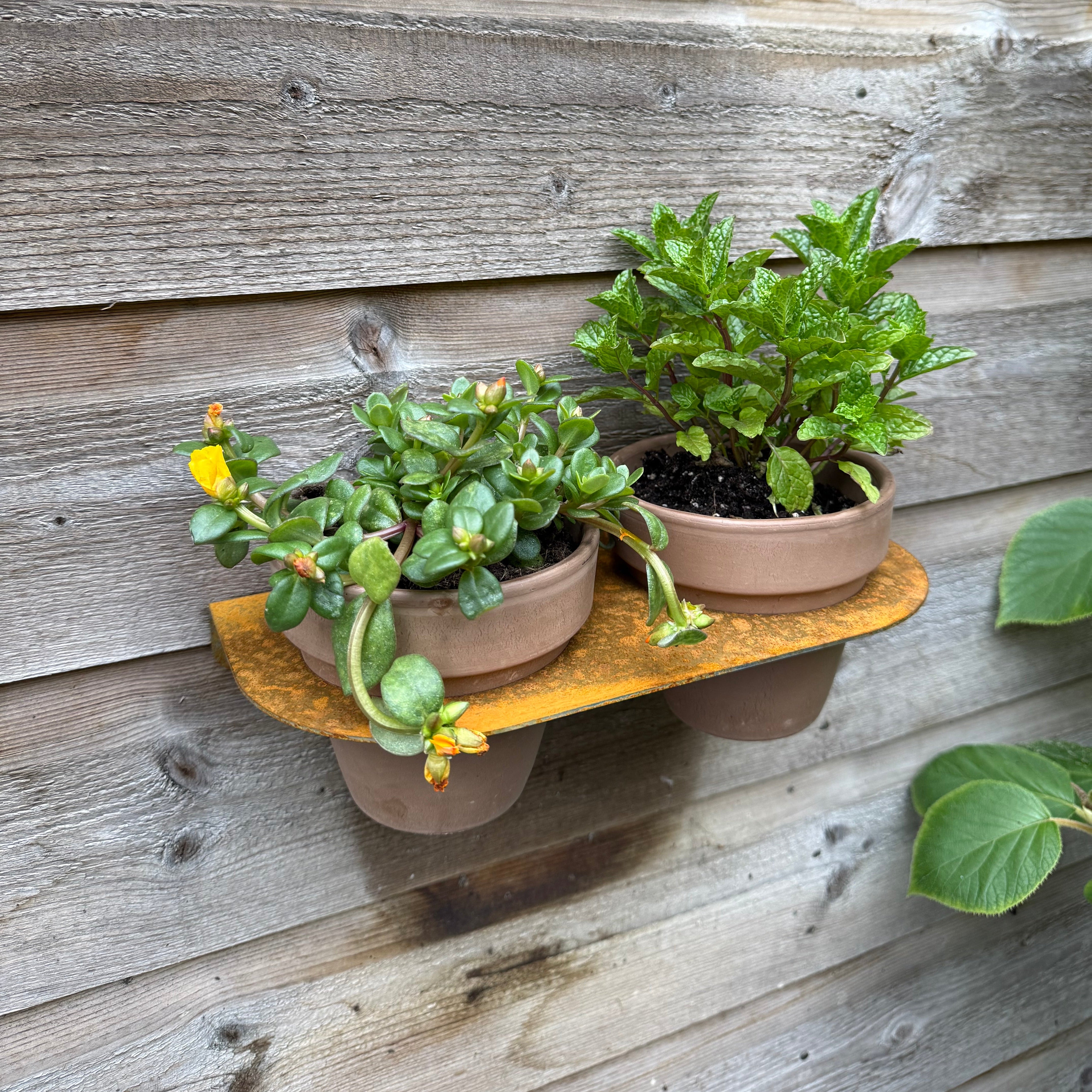 Bloempot ROOT