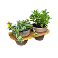 Bloempot DUO