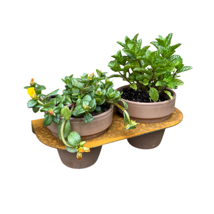 Bloempot DUO