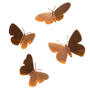 Tuinvorm BUTTERFLIES