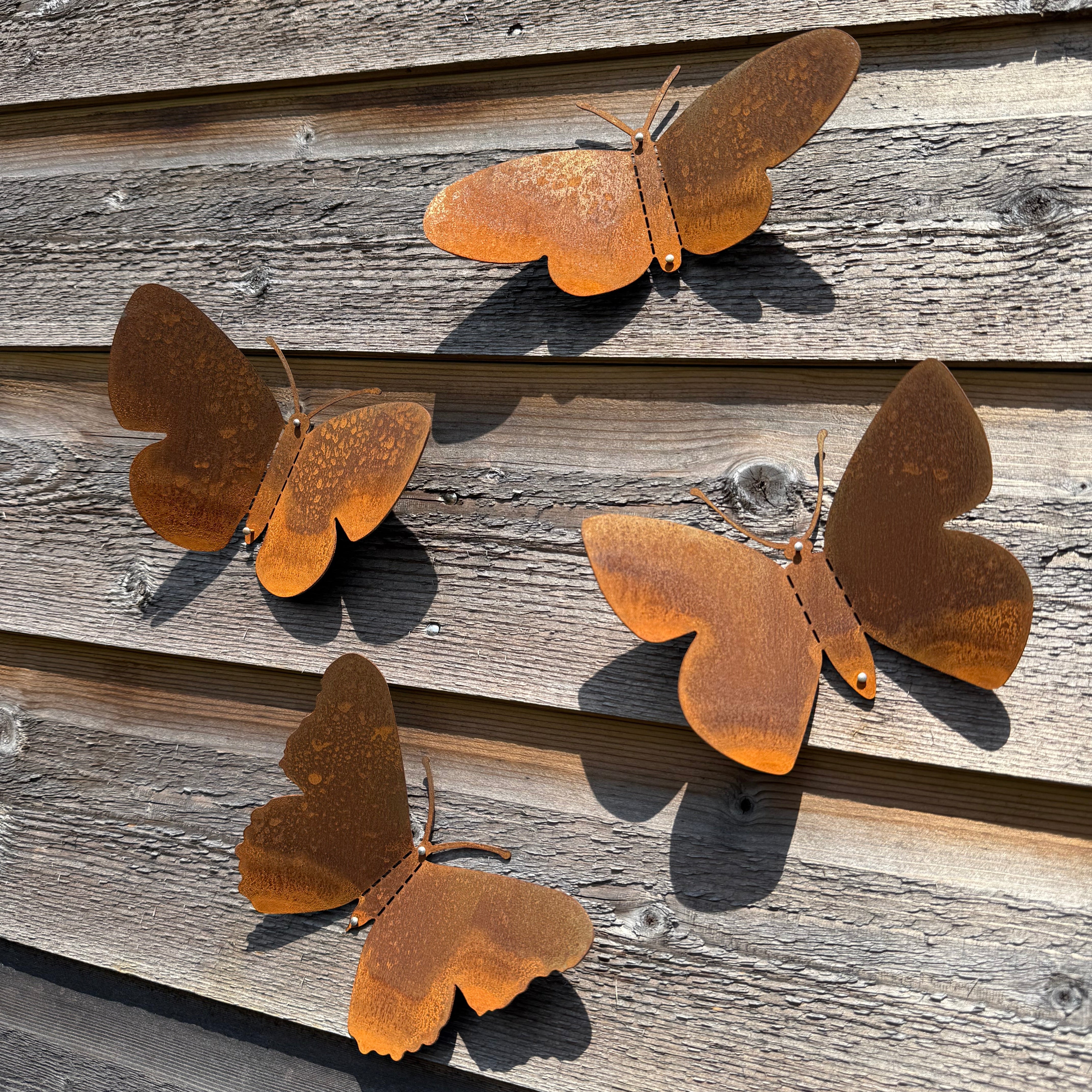 Tuinvorm BUTTERFLIES